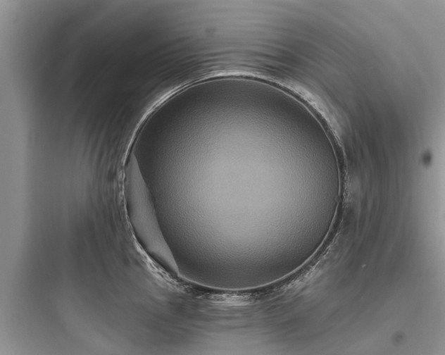 X0000097911145200803211459