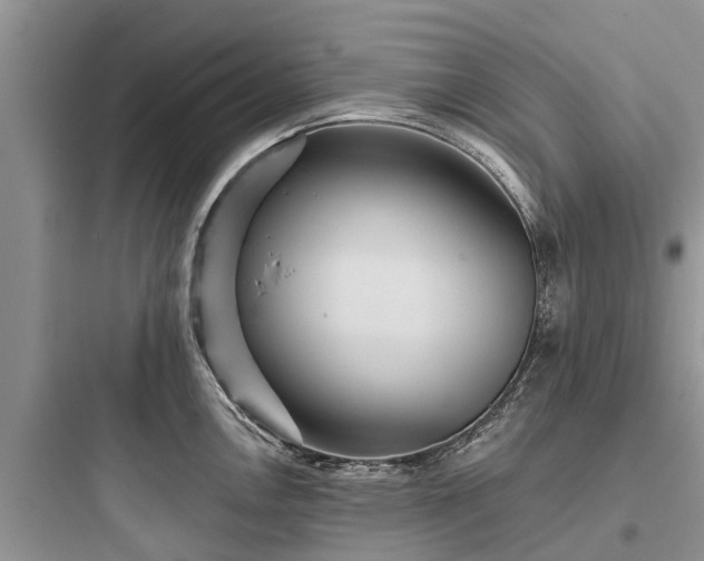 X0000097911146200803211459