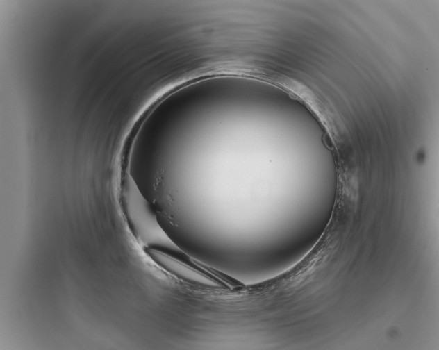 X0000097911147200803211459