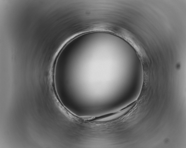 X0000097911148200803211459