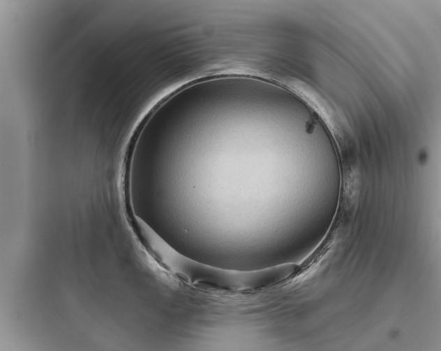 X0000097911149200803211459