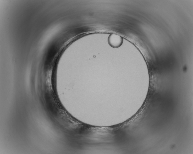 X0000097911150200803211459