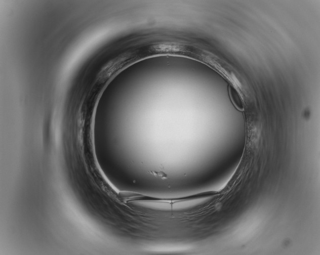 X0000097911151200803211459