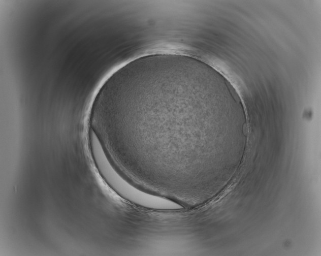 X0000097911152200803211459