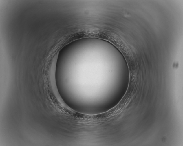 X0000097911153200803211458