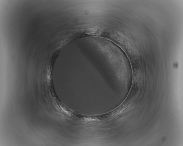 X0000097911154200803211458