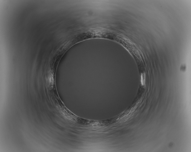 X0000097911155200803211458