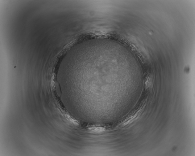 X0000097911156200803211458