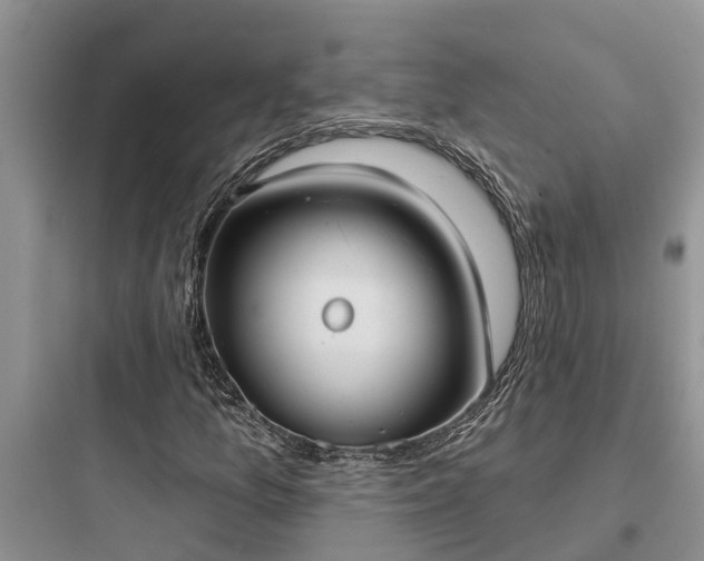 X0000097911157200803211458