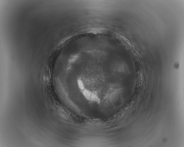 X0000097911158200803211458