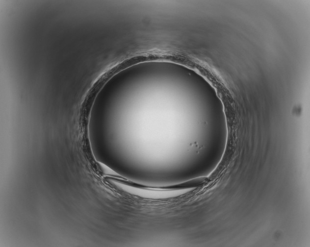 X0000097911160200803211458