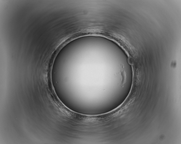 X0000097911162200803211458