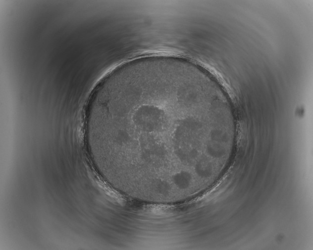 X0000097911163200803211458