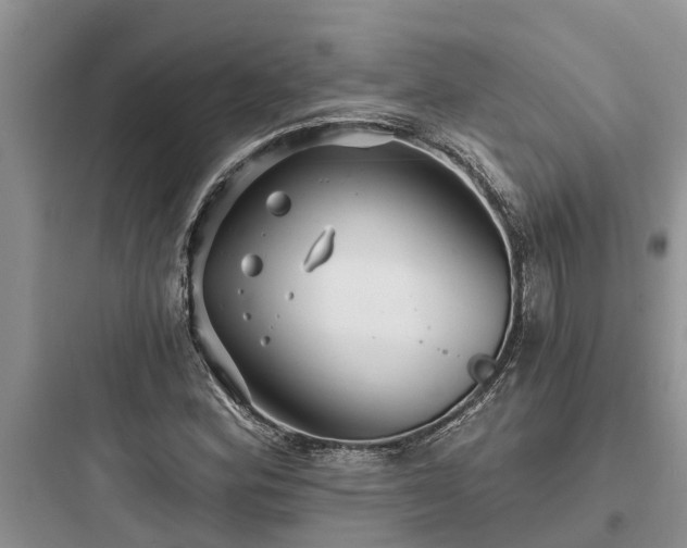 X0000097911164200803211458