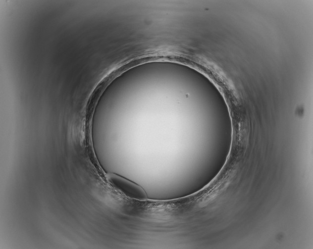 X0000097911165200803211458