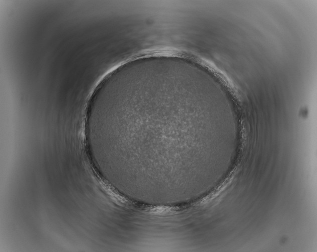 X0000097911166200803211458