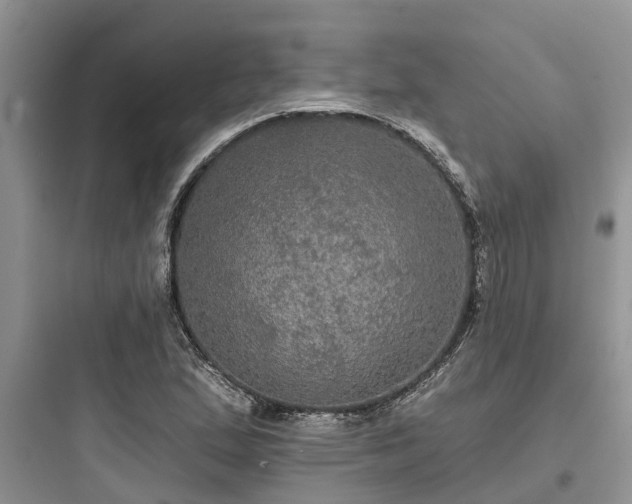 X0000097911167200803211458