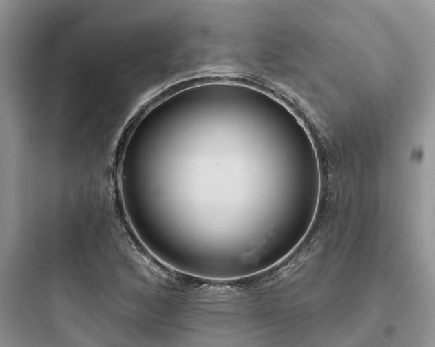 X0000097911168200803211458