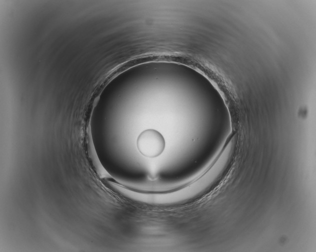 X0000097911169200803211458