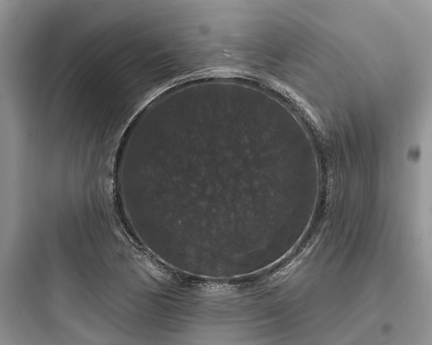 X0000097911170200803211458