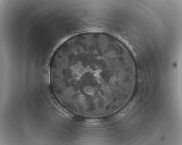 X0000097911171200803211458