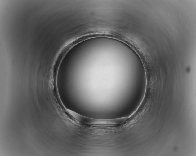 X0000097911172200803211458