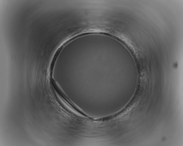 X0000097911173200803211458