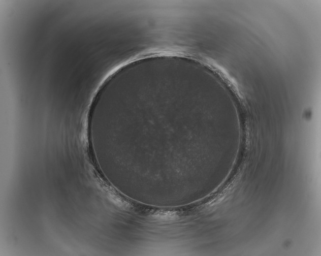 X0000097911174200803211458