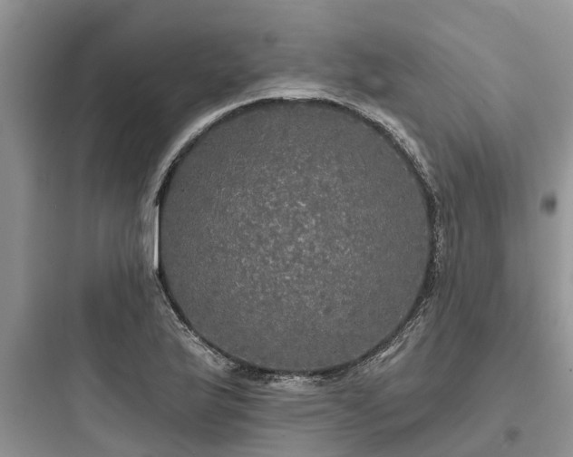 X0000097911175200803211458