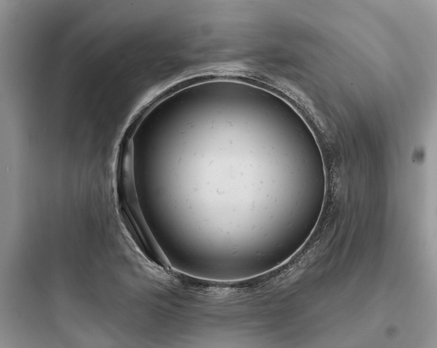 X0000097911176200803211458