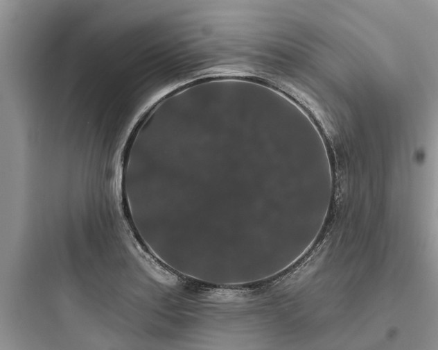 X0000097911179200803211457