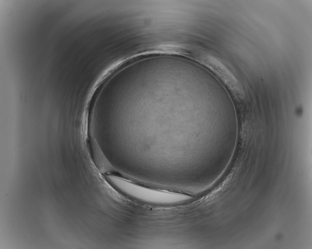 X0000097911180200803211457