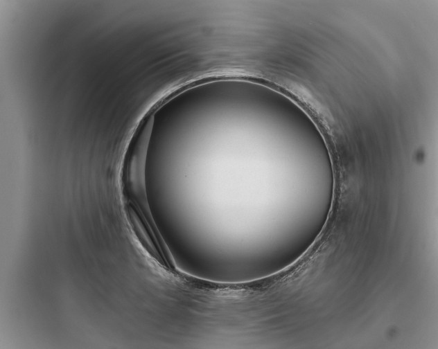 X0000097911181200803211457