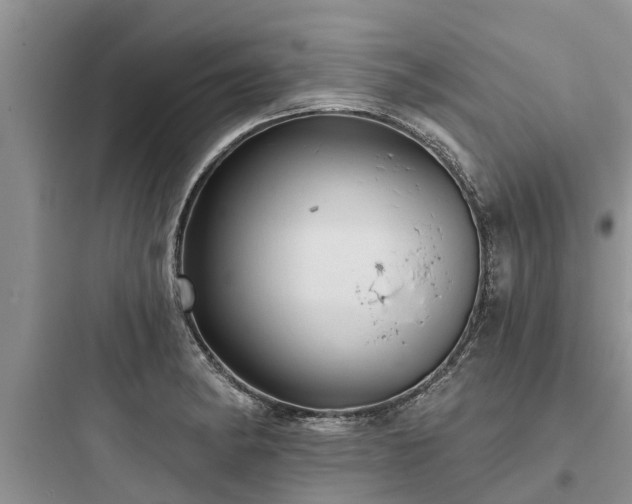 X0000097911182200803211457