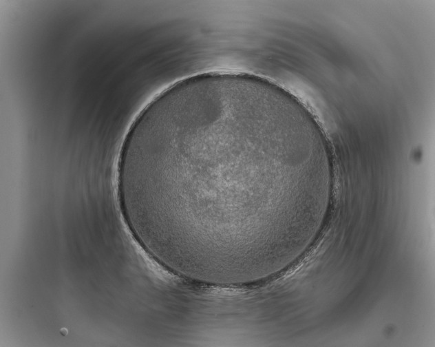 X0000097911183200803211457