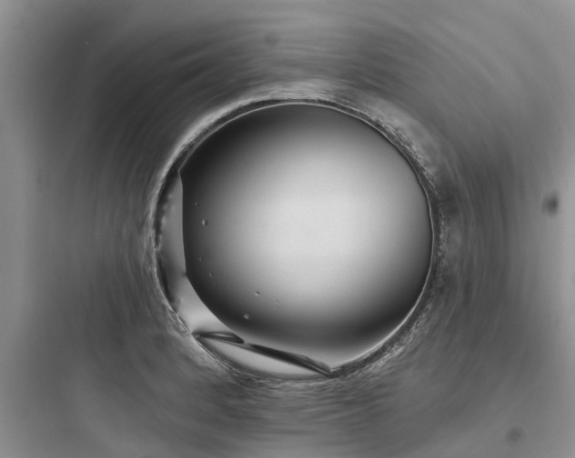 X0000097911184200803211457