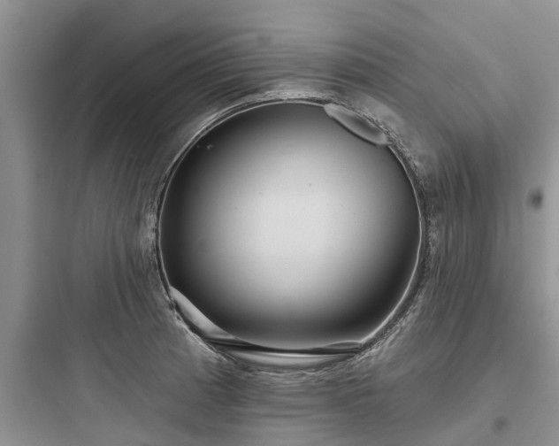 X0000097911185200803211457