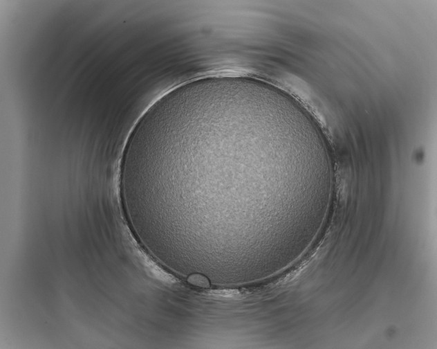 X0000097911186200803211457