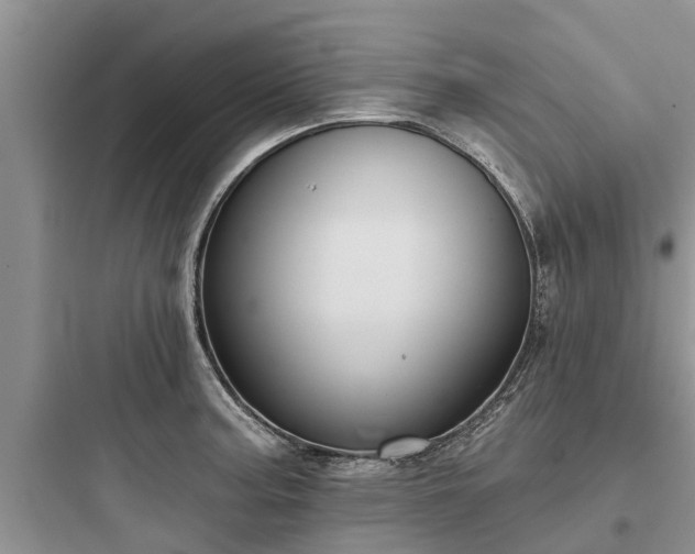 X0000097911187200803211457