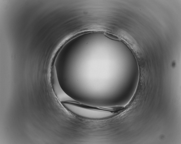 X0000097911188200803211457