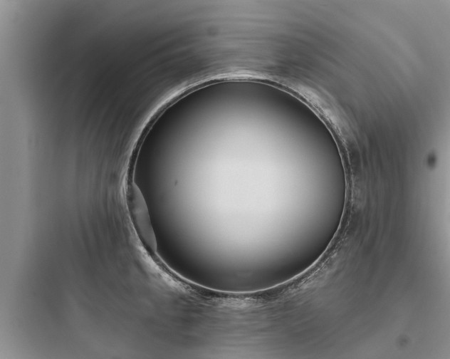 X0000097911189200803211457