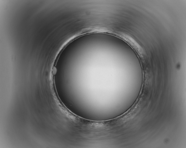 X0000097911190200803211457