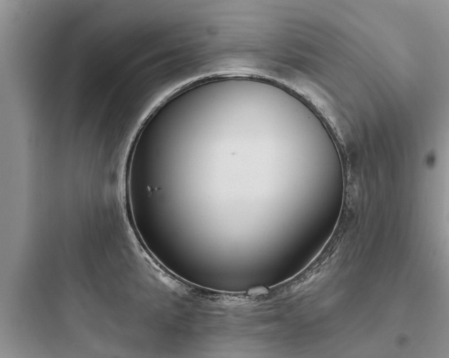 X0000097911191200803211457