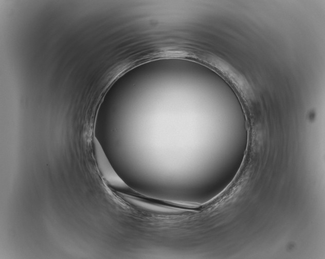 X0000097911193200803211457