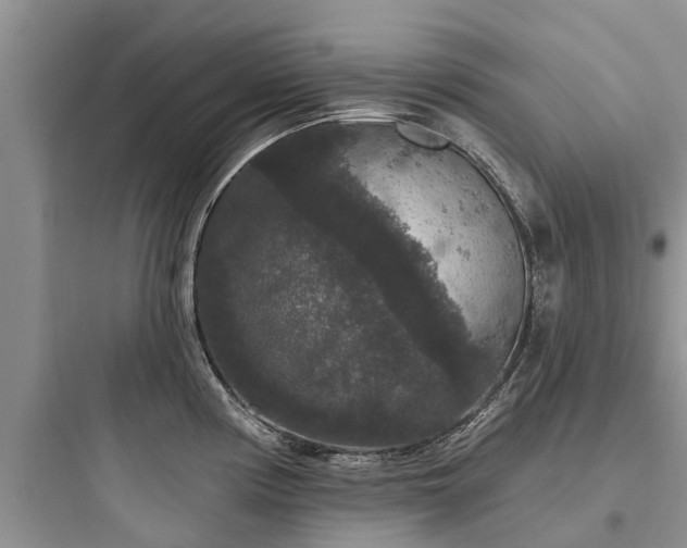 X0000097911194200803211457