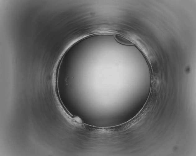 X0000097911195200803211457