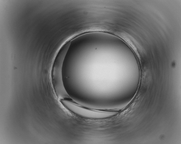 X0000097911197200803211457