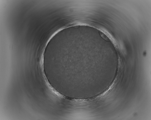 X0000097911198200803211457