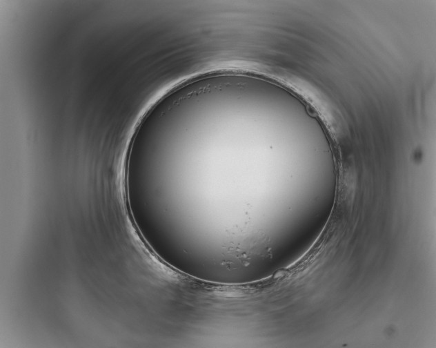 X0000097911199200803211457