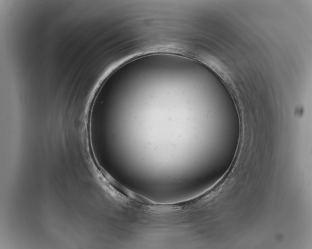 X0000097911200200803211457